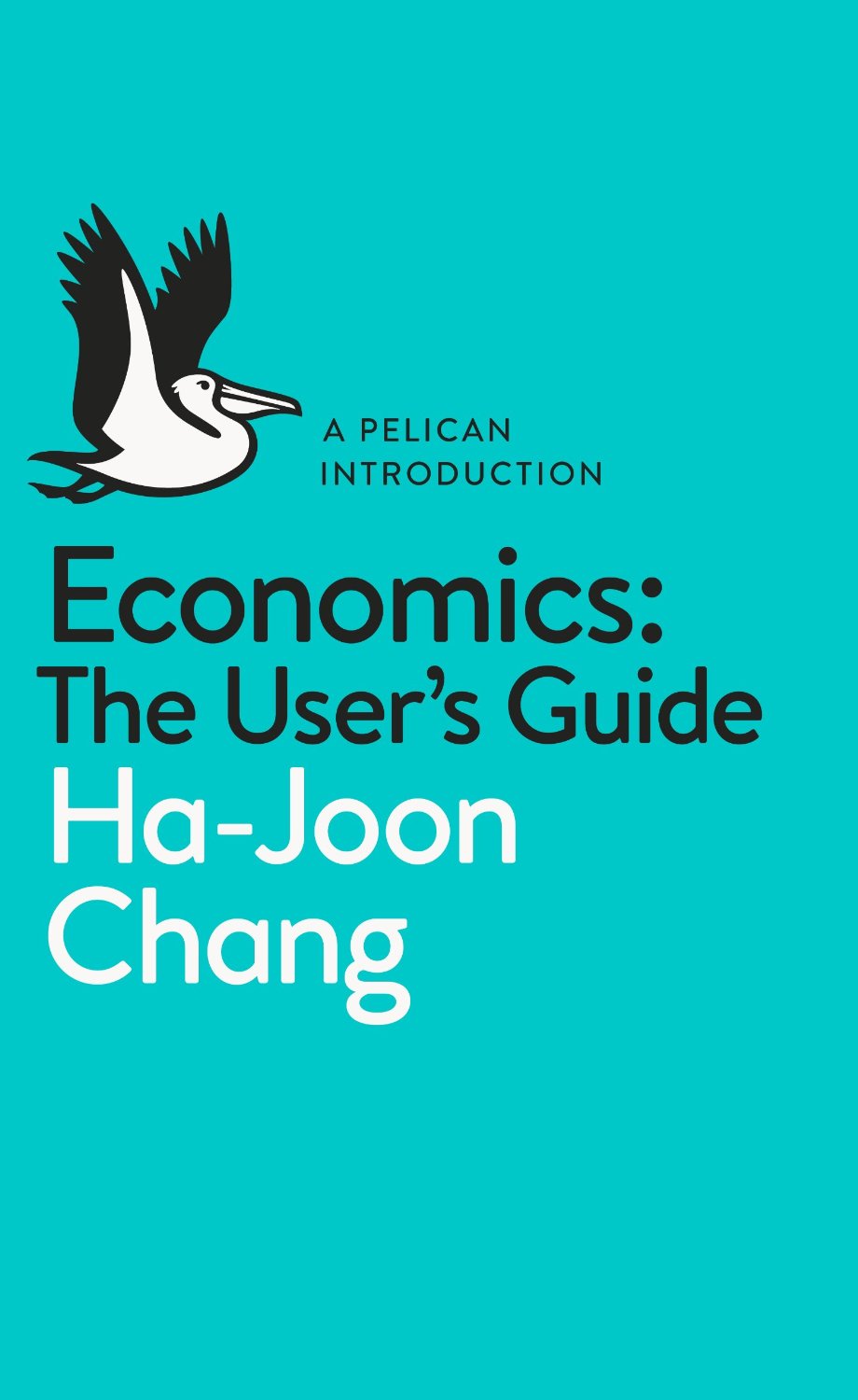 economics a users guide
