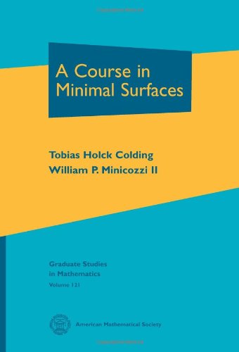 A Course in Minimal Surfaces.jpg