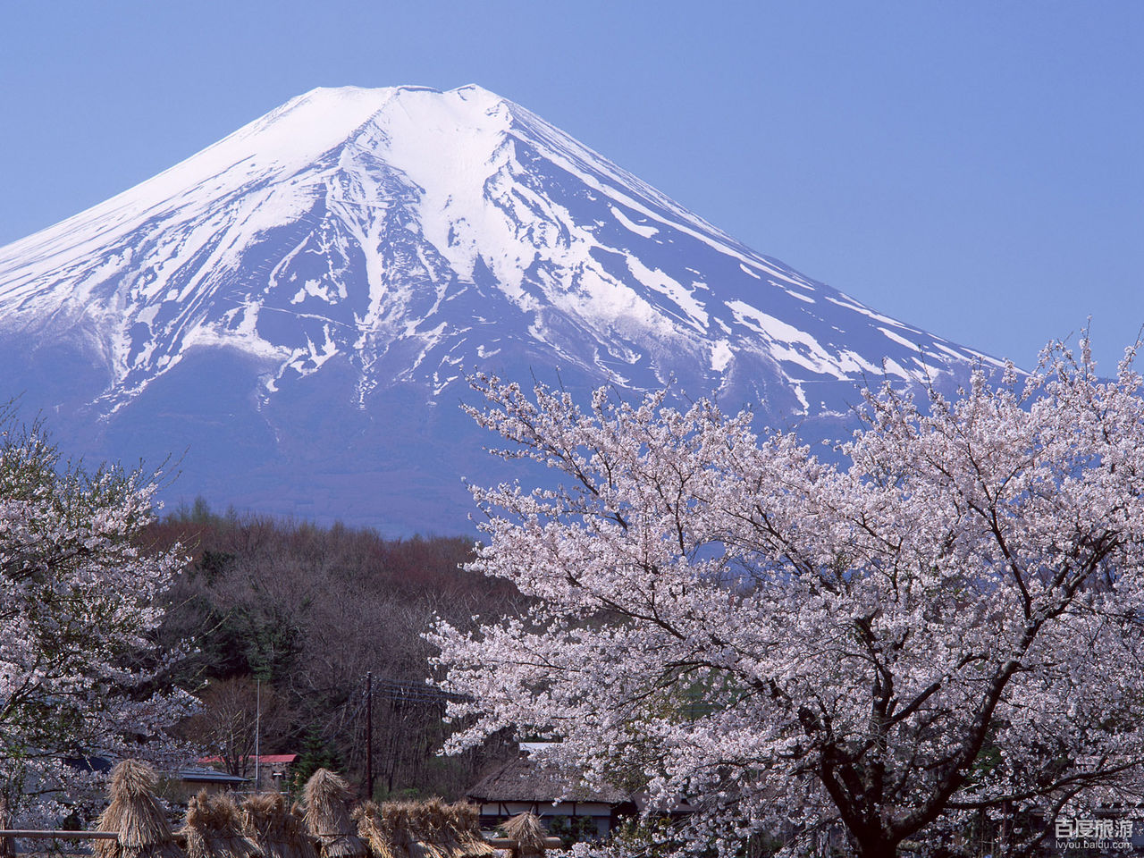 美丽日本风景图片素材-编号26226243-图行天下